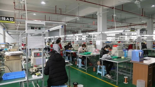 “兩手抓”賦能鶴城速度 工業(yè)集中區(qū)以?xún)?yōu)質(zhì)服務(wù)驅(qū)動(dòng)經(jīng)濟(jì)社會(huì)高質(zhì)量發(fā)展